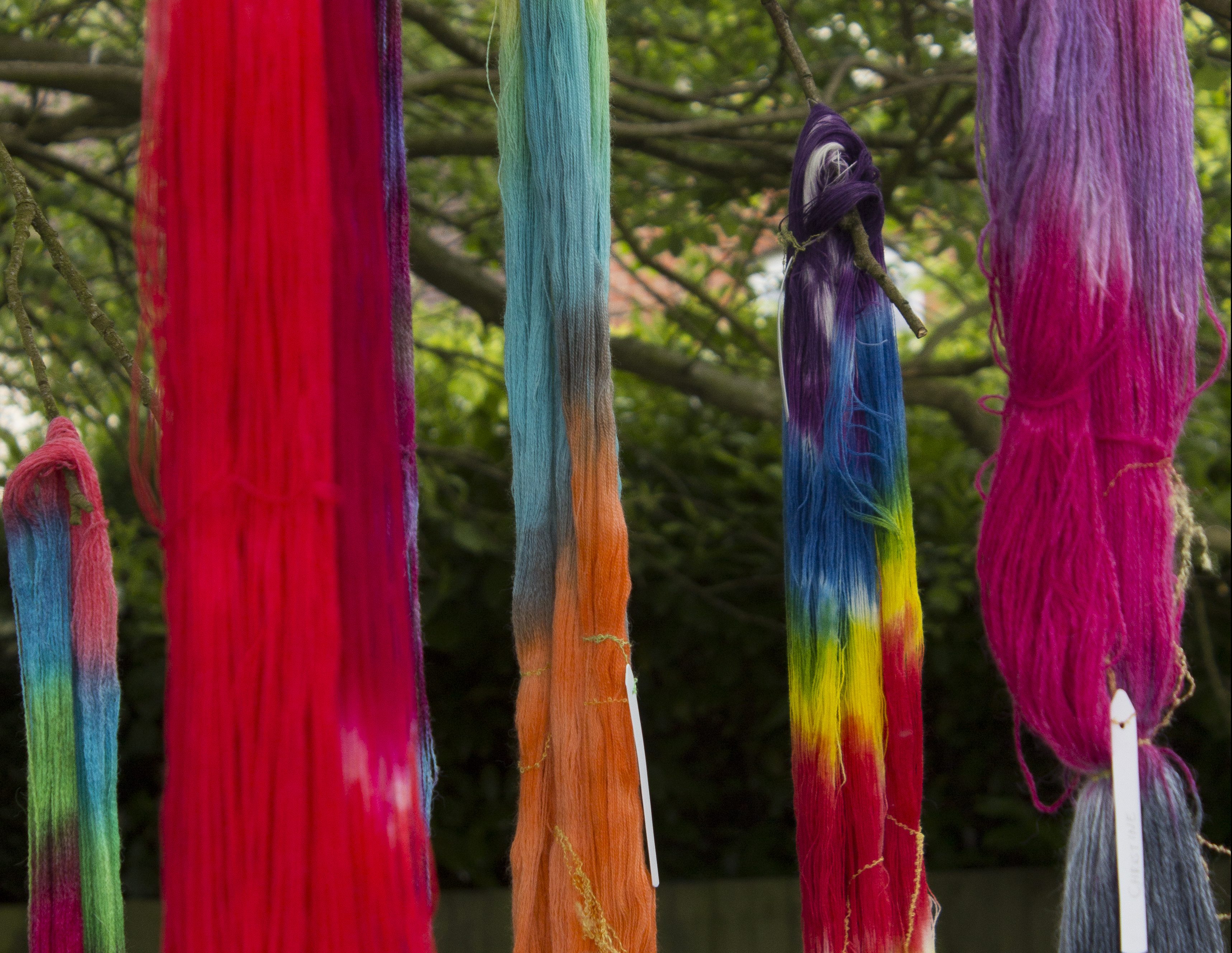 Introduction to Hand-dyeing with Synthetic Dyes with Debbie Tomkies at Black Sheep Wools, Culcheth