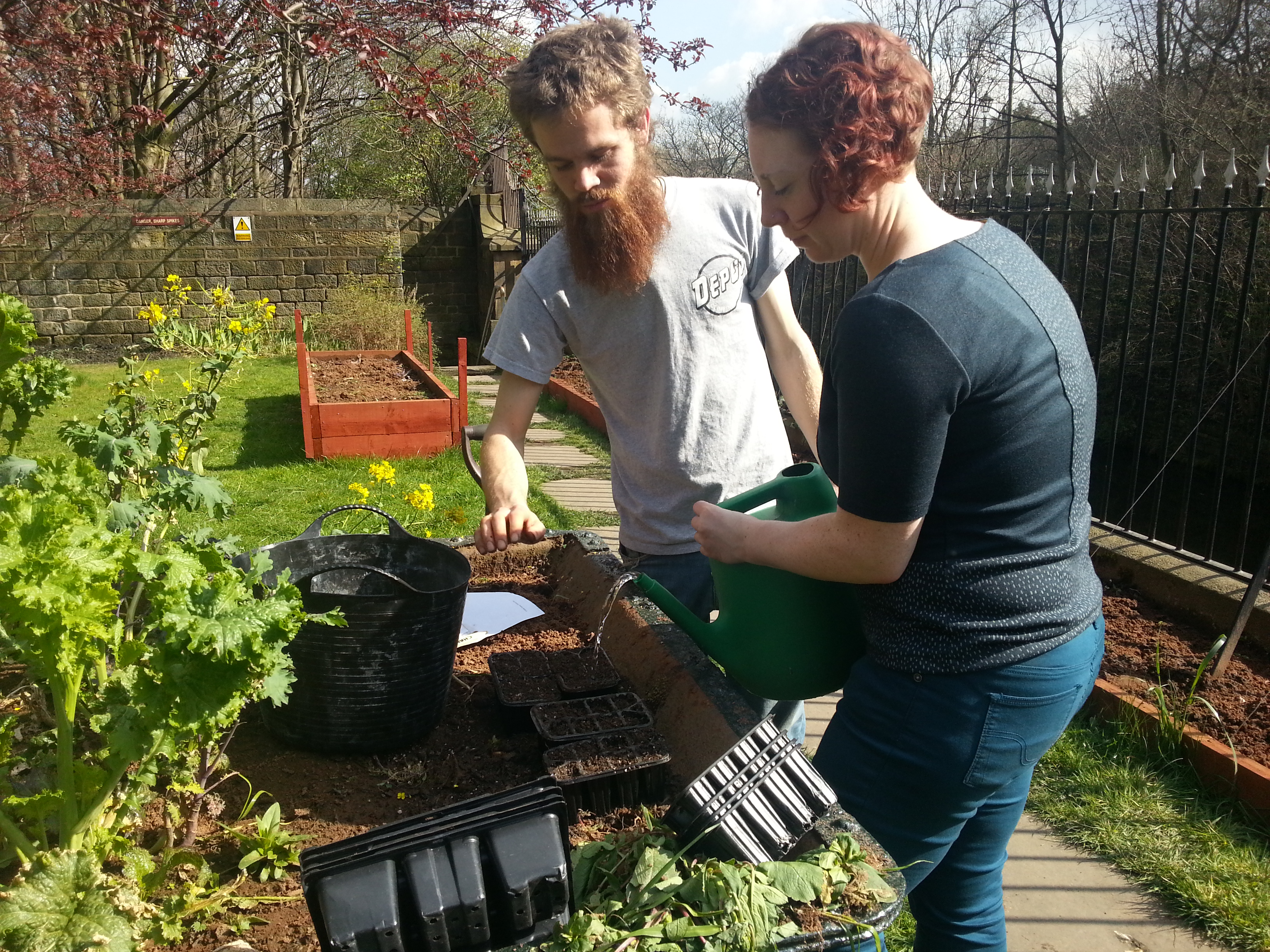 Armley Mills - Community Dye Garden with Debbie Tomkies of Making Futures