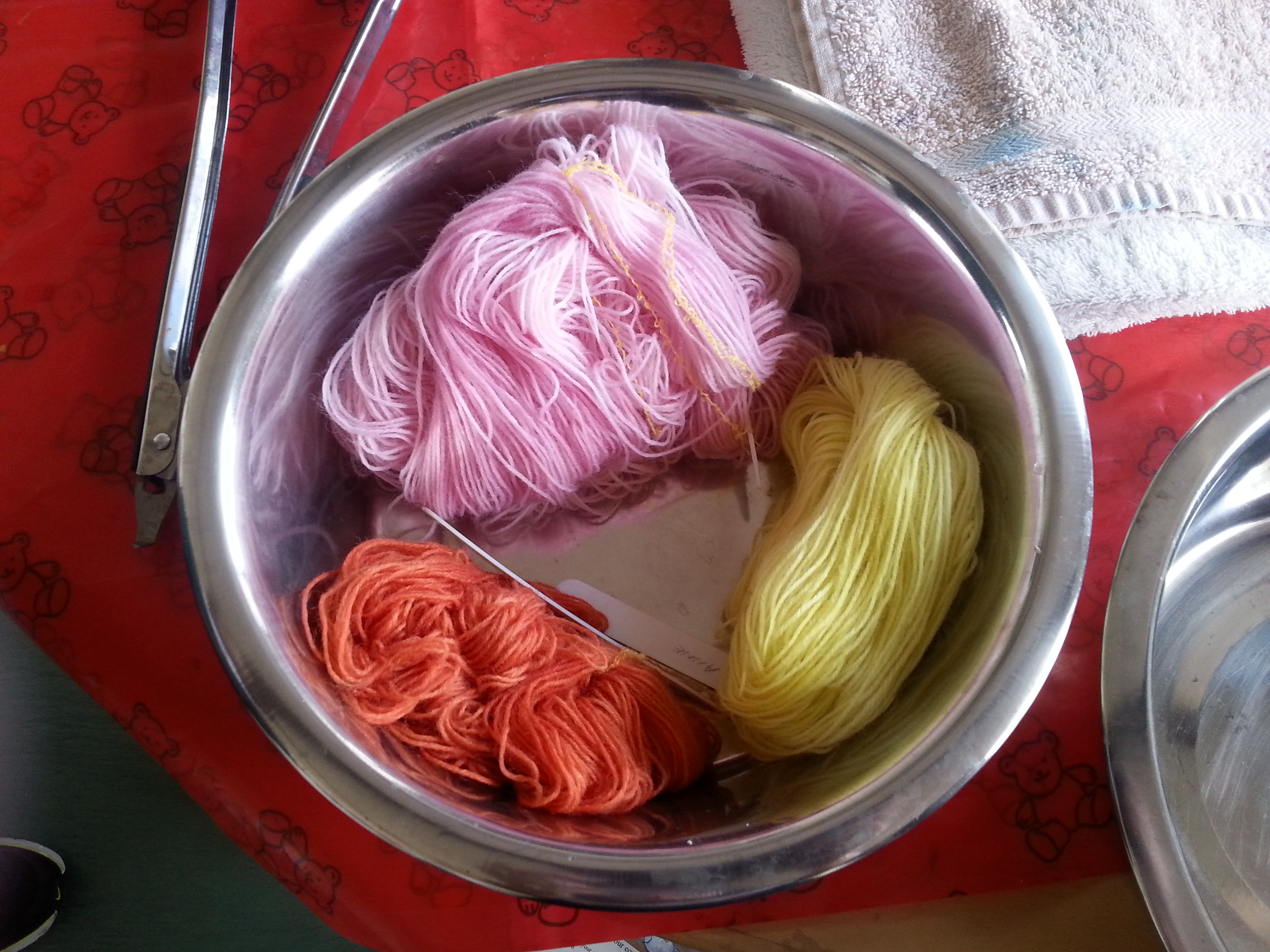 natural dyeing workshop