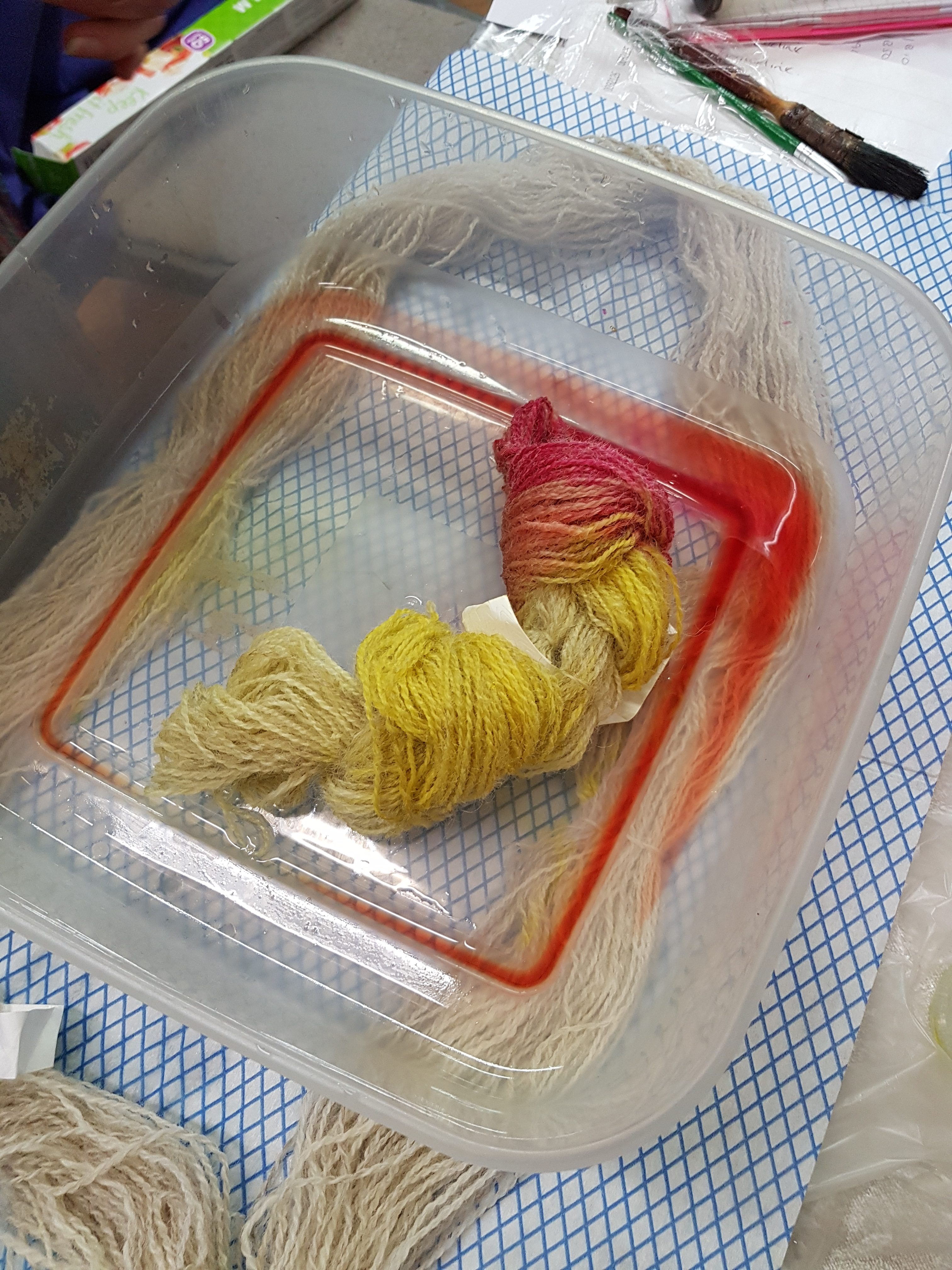 Oxford Guild of Weavers, Spinners and Dyers - Introduction to acid dyeing and Dyes Past and Present talk